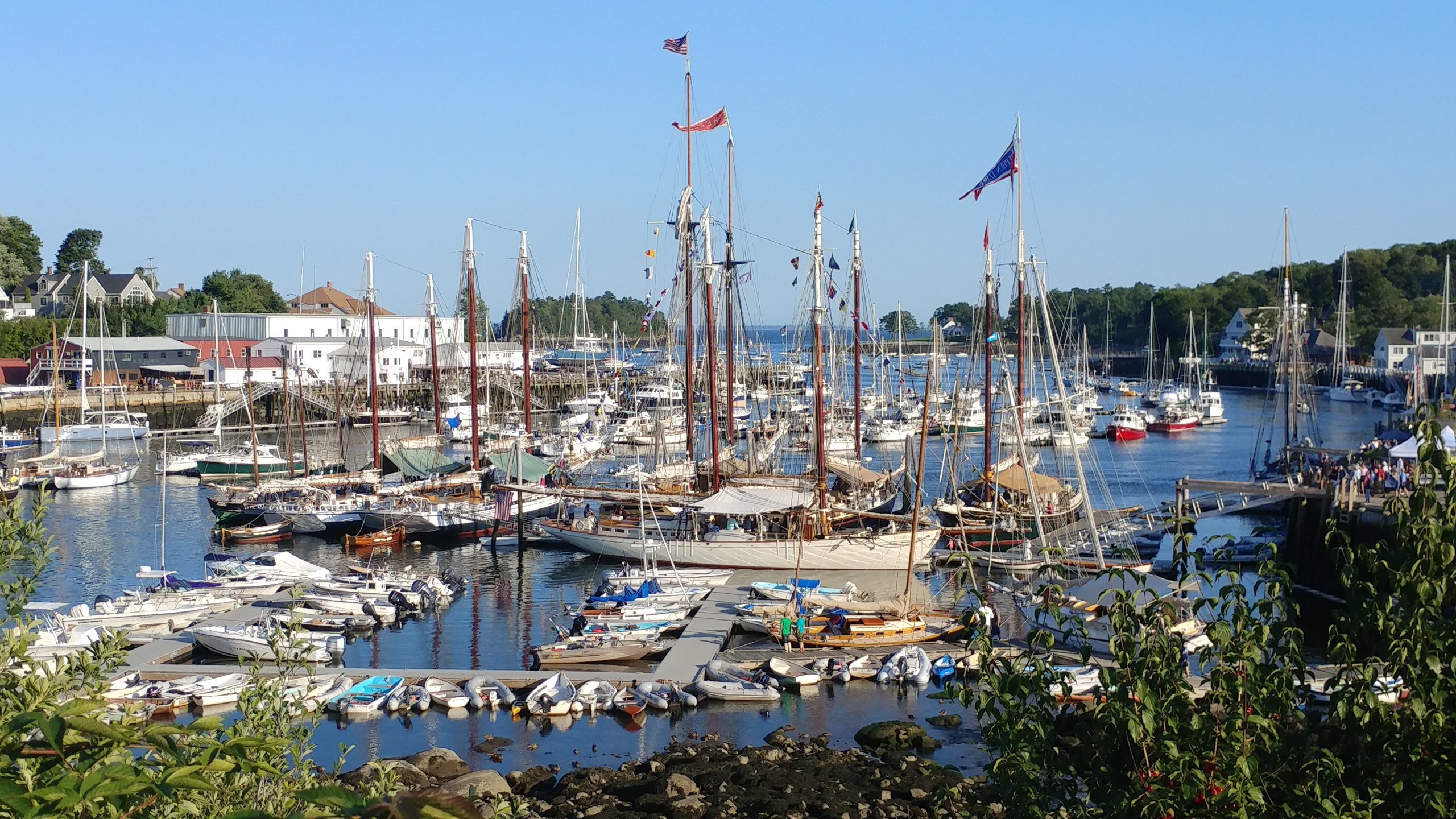 View of windjammers in Camden Harbor during the Camden Windjammer Festival