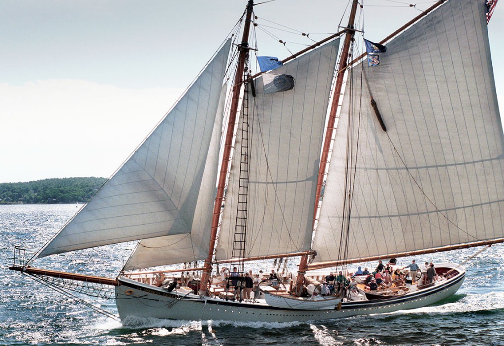 American Eagle Under Sail by Fred LeBlanc