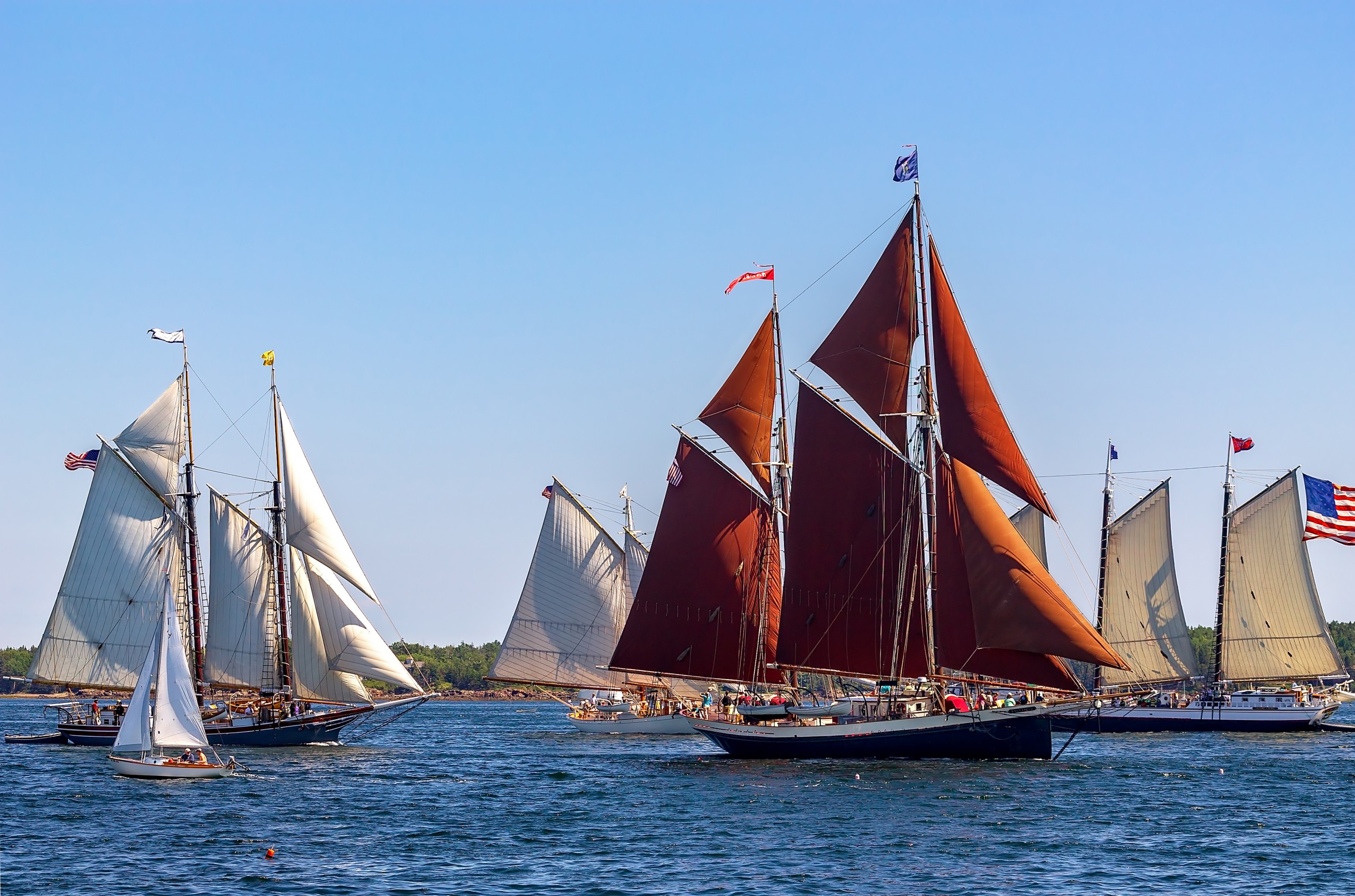 Parade of Schooners in Penobscot Bay