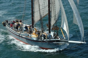 Seagull's View of the Lewis R. French