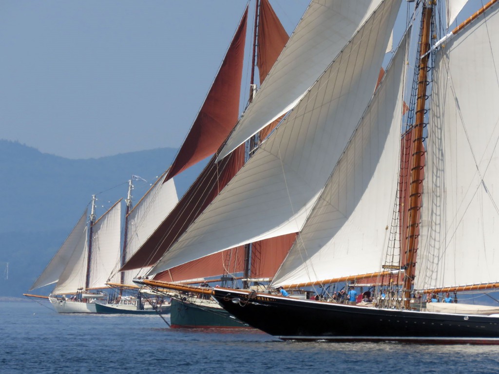 Schooner lining up at the start of the 43rd Annual Great Schooner Race. 